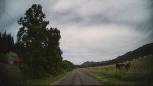 Driving from  the Old Ghost Road Trailhead to Seddonville | West Coast | New Zealand | 4K