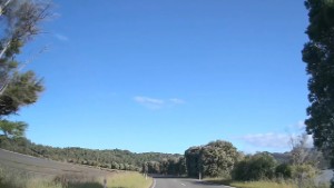 Driving SH60 from Collingwood to Parapara | Tasman | New Zealand | 4K