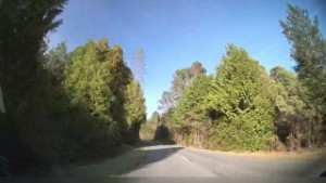 Driving Woodstock Rimu Road near Hokitika | West Coast New Zealand | 4K