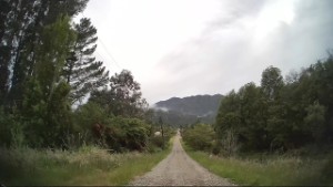 Driving Excelsior Street in Seddonville | West Coast | New Zealand | 4K