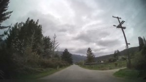 Driving Gladstone Road In Seddonville | West Coast | New Zealand | 4K