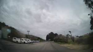 Driving Dole Street in Ngakawau |  West Coast | New Zealand | 4K