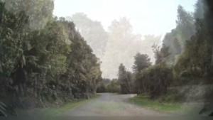 Driving Stafford Loop Road near Hokitika | West Coast | New Zealand | 4K