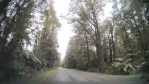Driving part of Brown Creek Road in Inangahua | West Coast | New Zealand | 4K