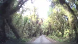 Lake Mahinapua Scenic Reserve near Hokitika | West Coast | New Zealand  | 4K