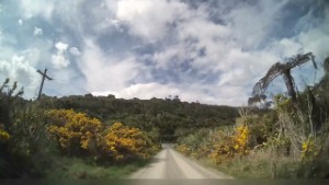 Driving McMilan Road to the self contained camping area near Punakaiki - West Coast New Zealand | 4K