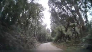 Driving Ward Road to the Kaniere Water Race Walkway Start - West Coast New Zealand | 4K