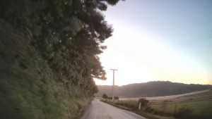 Driving Mcshane Road in Wainui from the Abel Tasman Coast Track | Tasman | New Zealand | 4K
