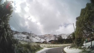 Driving Puari Road in Port Levy on the Banks Peninsula | Canterbury | New Zealand | 4K