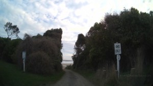Driving in the Tautuku Scenic Reserve in the Catlins | Otago | New Zealand | 4K