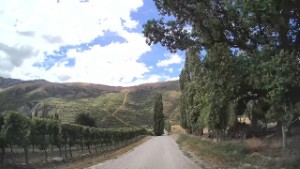 Driving to the Gibbston River Trail Car Park from SH6 | Otago | New Zealand | 4K