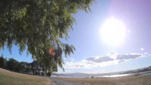 Driving around Waihola | Otago | New Zealand | 4K