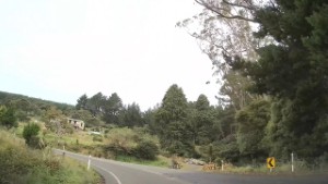 Driving from Waitati to Mount Cargill | Otago | New Zealand | 4K