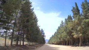 Driving Sandflat Road in Cromwell | Otago | New Zealand | 4K