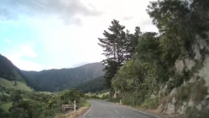 Driving from Waikawa to Whatamango Bay | Marlborough | New Zealand | 4K