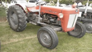 1963-64 Massey Ferguson 30 Tractor at the Courtenay A&P Show