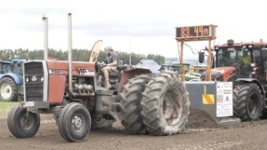 Massey Ferguson 1155 Tractor Pulling