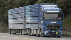 58 Mercedes Benz Trucks on the Road