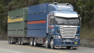 40 Freightliner Trucks on the Road