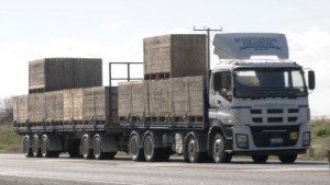 57 Isuzu Trucks on the Road around New Zealand's South Island