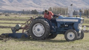 1965 Ford 3000 Tractor at the 2025 NZ Ploughing Championships