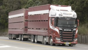 41 Scania Trucks on the Road around New Zealand's South Island