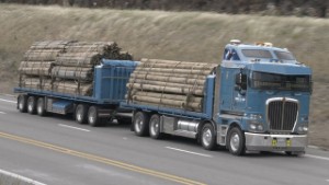 41 Kenworth Trucks on the Road around New Zealand's South Island