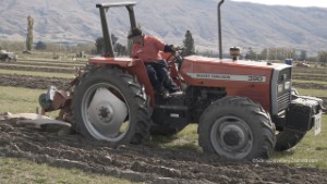 Massey Ferguson 390 4WD Tractor Ploughing