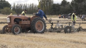 Allis Chalmers F Tractor using a Reid and Gray Plough