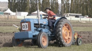 Fordson Power Major Tractor at the 2025 NZ Ploughing Championships