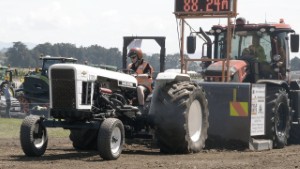 Modified David Brown 1210 Tractor Pulling at Edendale Crank Up 2025