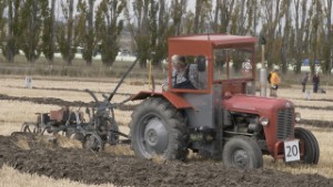 Vintage Massey Ferguson 35 Tractor Ploughing