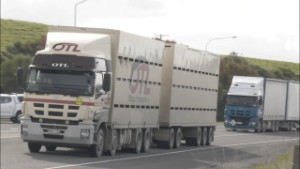 60 Isuzu Trucks on the Road around New Zealand's South Island